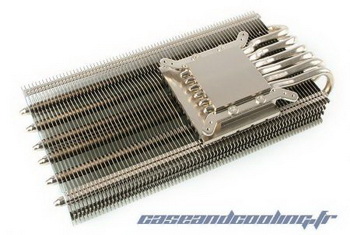 Prolimatech MK-13